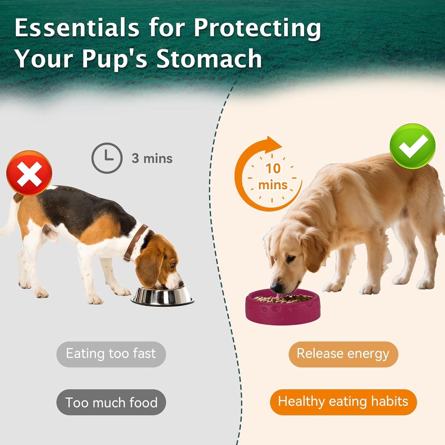 Slow Feeder Dog Bowl Set Frozen Treat Lick Mat BPA-Free Silicone Dishwasher Safe