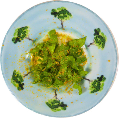 100% Pure Bee Pollen Powder - Food for Bearded Dragons, Reptiles, and Isopods - Natural Reptile Treat - 2 Ounce Resealable Bag with Spoon - Bee Pollen