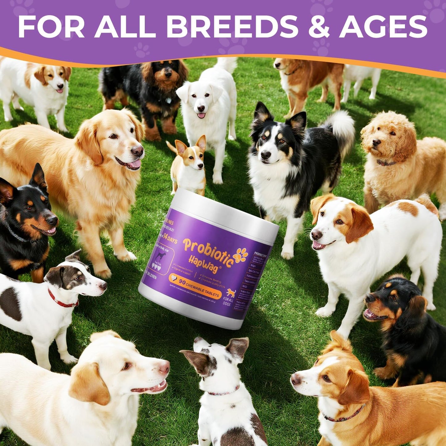 Probiotics for All Breeds and Ages Dogs, Support Gut Digestive Health, Anti Diarrhea, Constipation Relief, No More Allergies, Dog Supplements - Pork Flavor - 90 Soft Chews