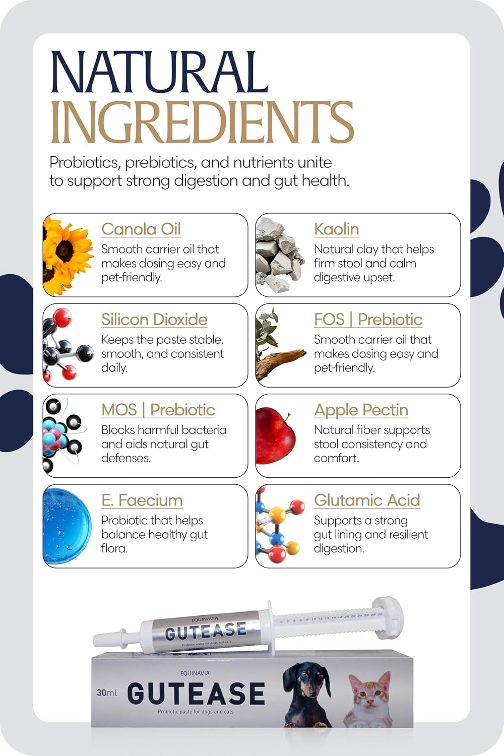 Equinavia GutEase Digestive Support Paste for Dogs & Cats – with Probiotics, Prebiotics, Glutamine, and Pectin – Easy Oral Supplement in 15ml or 30ml Syringe - 1 oz (30 ml) - 1 oz