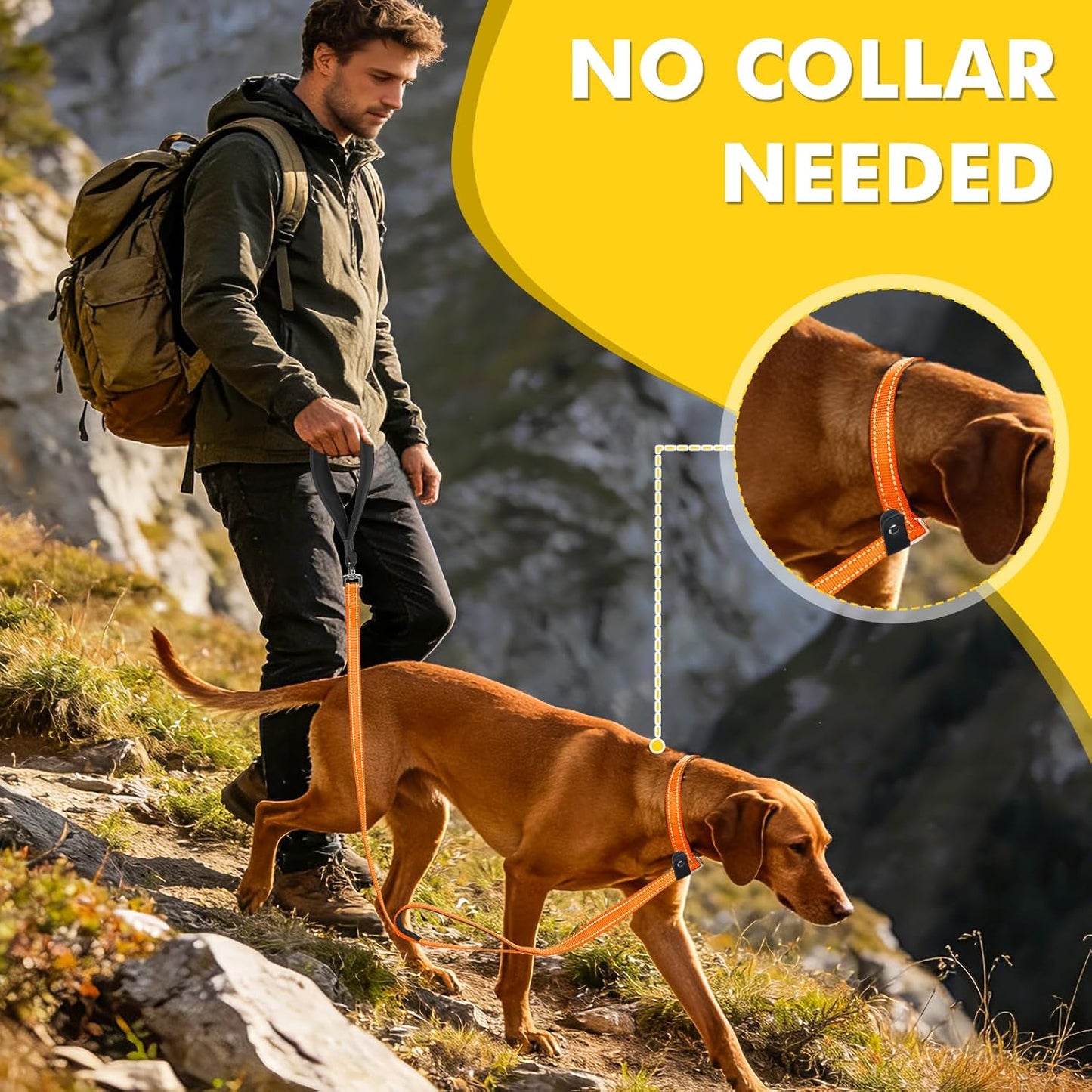 XiaZ Slip Lead Dog Leash, 6 FT Flat Rope Slip Leash with Double Handles and Collar Attachment, No Pull Pet Training Lead with Highly Reflective for Small Medium Large Dogs Orange