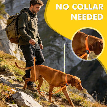 XiaZ Slip Lead Dog Leash, 6 FT Flat Rope Slip Leash with Double Handles and Collar Attachment, No Pull Pet Training Lead with Highly Reflective for Small Medium Large Dogs Orange
