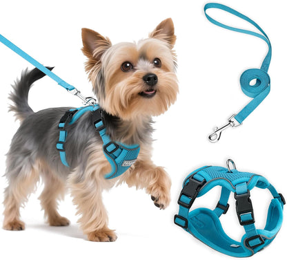 Small Dog Harness and Leash Set, Reflective Soft Breathable Mesh Vest, 3 Buckles, Adjustable Neck and Chest,Step in Dog Harness for Walking, Running, Training, Turquoise, XS