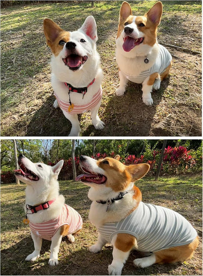 Koneseve Dog Shirt Vest Lightweight Stretchy Dog T-Shirts Soft Cool Shirts Sleeveless Stripe Vests Breathable Clothes for Puppy Kitty Cats Small Medium Large Dogs 2 Pack Pink + Green [ L/Large ]