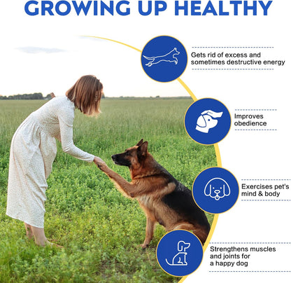 Dog Agility Training Equipment,Course Backyard Set Training Equipment for Dogs Pet Outdoor Game with Yellow, Blue and Red Tunnel, Agility Hurdle, Poles, Jump Ring, Pause Box, Toy Balls and Storage Bag