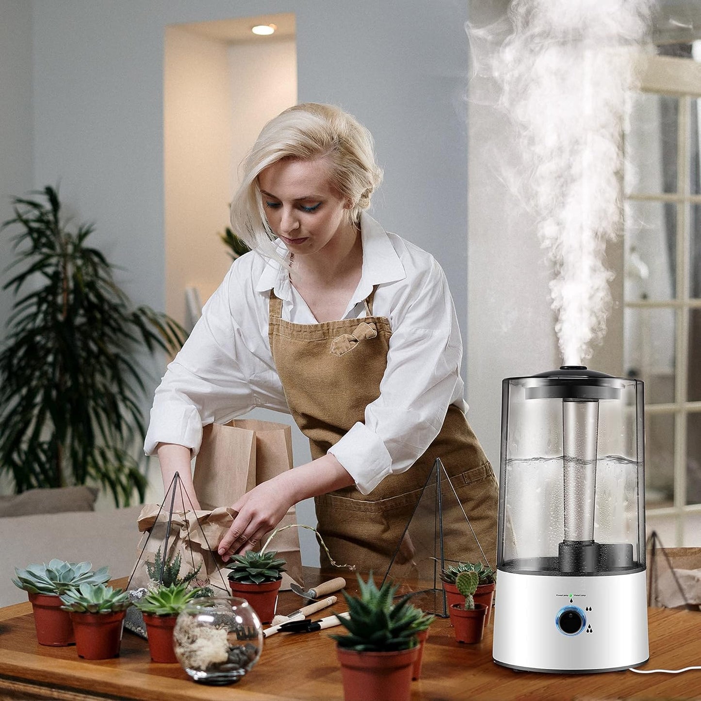 Dreyoo Reptile Humidifier Fogger, 4L Cool Mist Fog Mister with Tube for Tortoise Habitat Chameleon Snake Amphibians, Compatible with All Terrariums, Cages and Enclosures