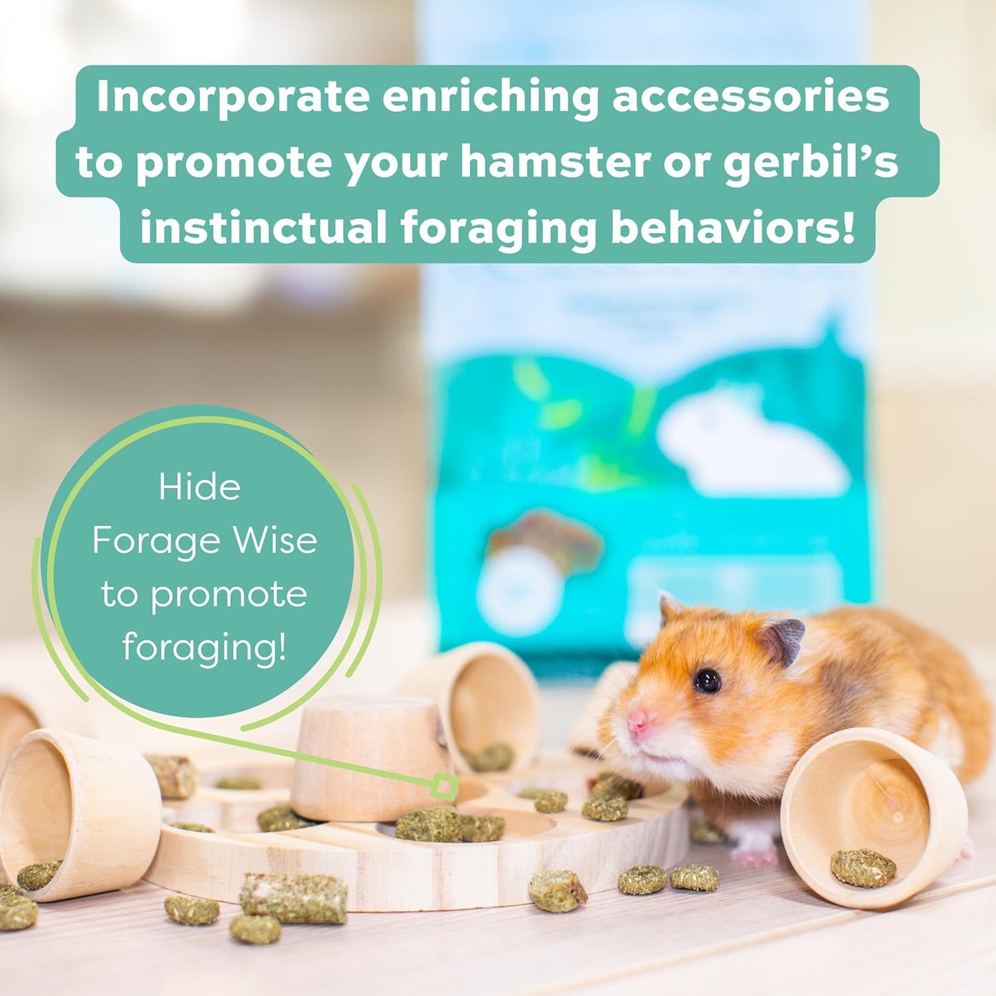 Oxbow Forage Wise Hamster & Gerbil Food, Vitamin Rich Healthy Daily Diet, Hamster Food, Veterinarian Formulated, Small Animal Pet Products, No Artificial Colors & Preservatives, Made in USA, 2 lbs