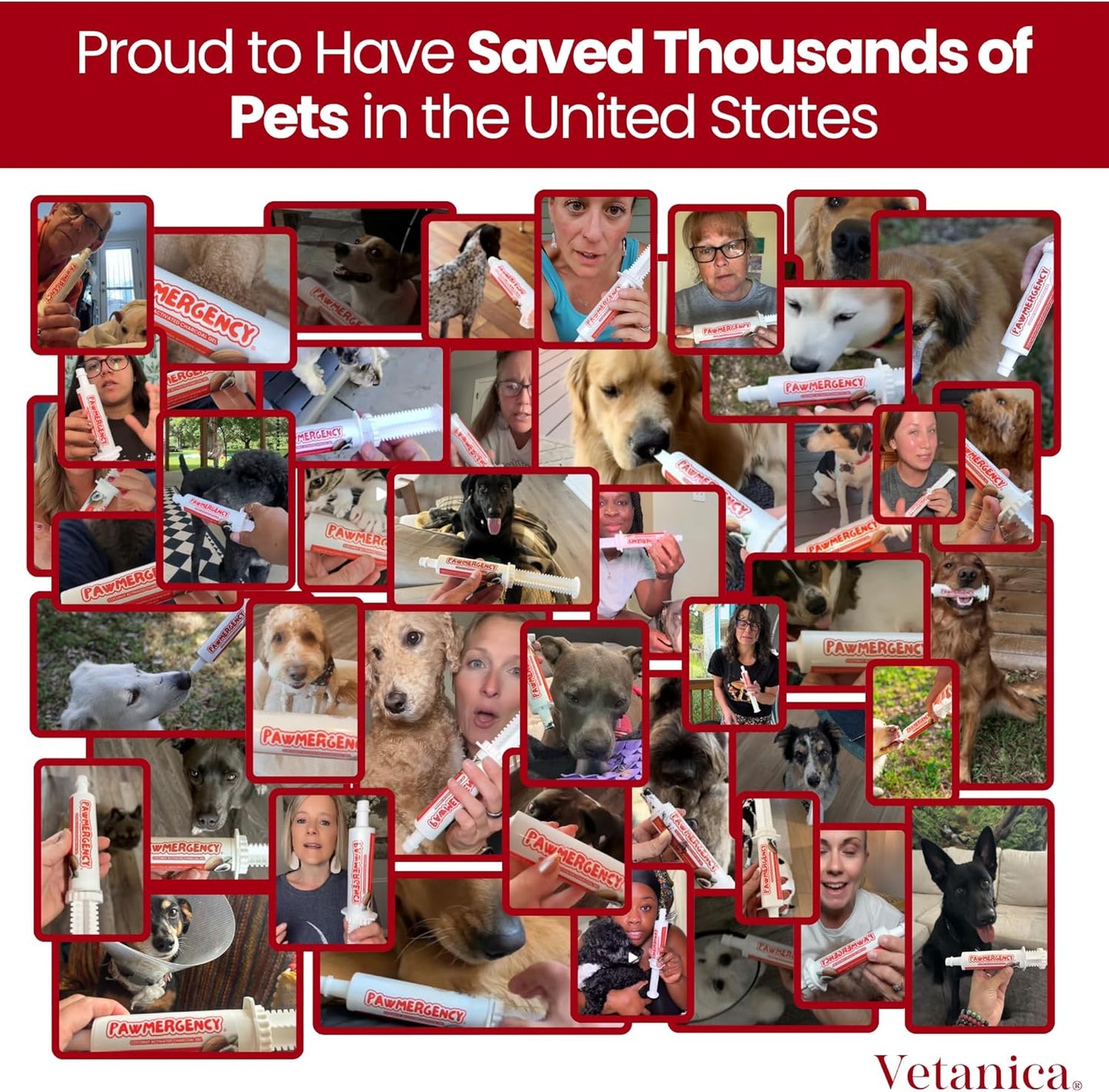 PawMergency – Activated Charcoal First Aid Kit Emergency Rescue 4 Pack for Dogs, Cats, Puppy & Pet Poison Kit, Camping Survival Remedy Essential, Oral Anti Diarrhea Digestive Absorb Toxins (30mL)