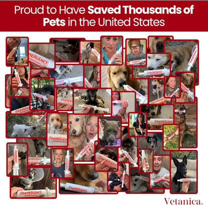 PawMergency – Activated Charcoal First Aid Kit Emergency Rescue 4 Pack for Dogs, Cats, Puppy & Pet Poison Kit, Camping Survival Remedy Essential, Oral Anti Diarrhea Digestive Absorb Toxins (30mL)