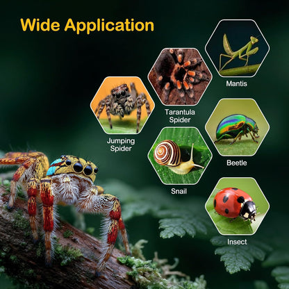 Jumping Spider Enclosure Kit,Escape Proof Reptile Tank,Transparent Acrylic Bug Habitat,Praying Mantis Terrariums,Arboreal Tarantula Cribs Cage,Insect Starter Container,Critter Keeper Large