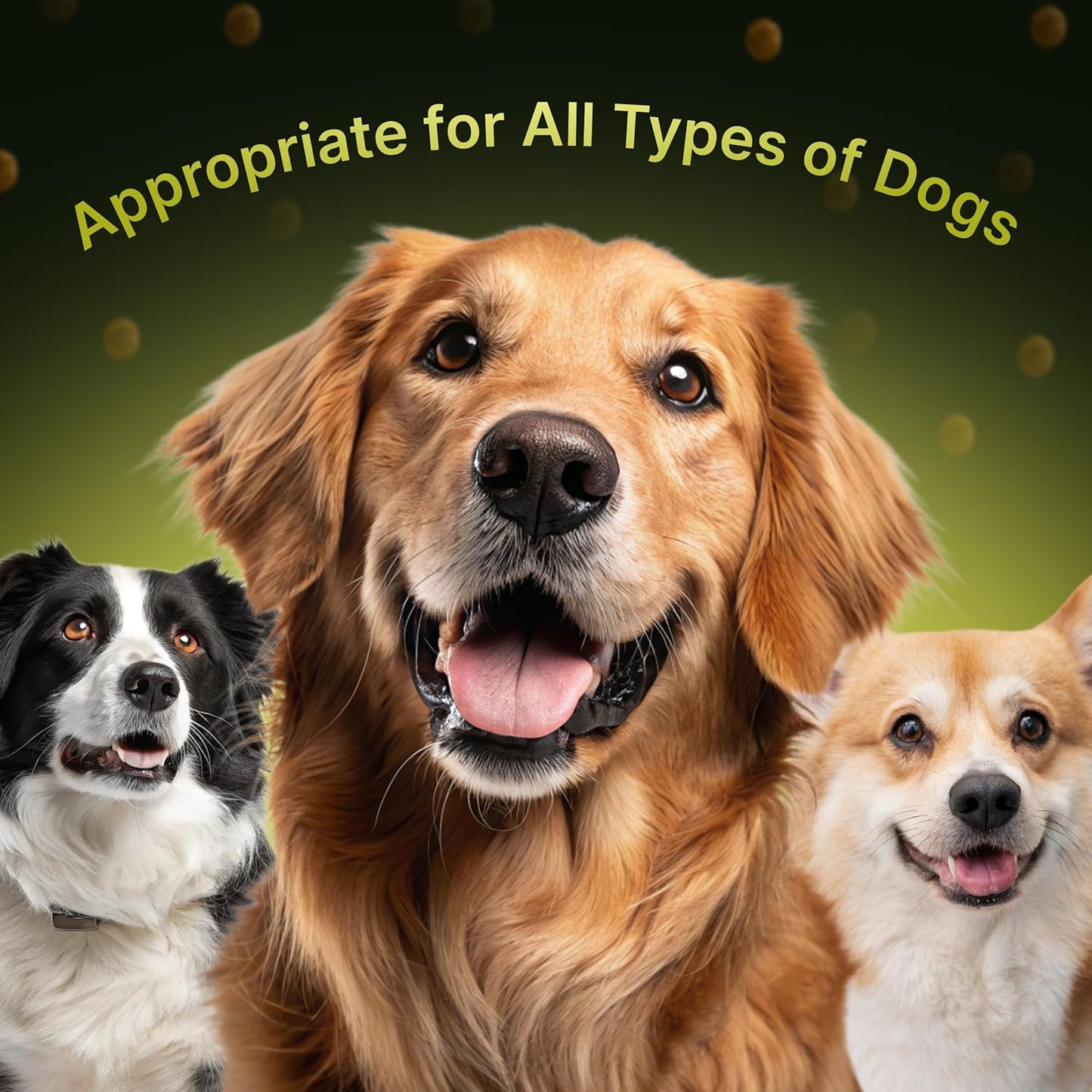 23-in-1 Multivitamin for Dogs – Soft Chews with Glucosamine, Chondroitin, MSM, Probiotics, Cranberry, Biotin, Zinc, Salmon Oil, Vitamins B, C, E – Hip & Joint, Skin, Digestive & Immune Support