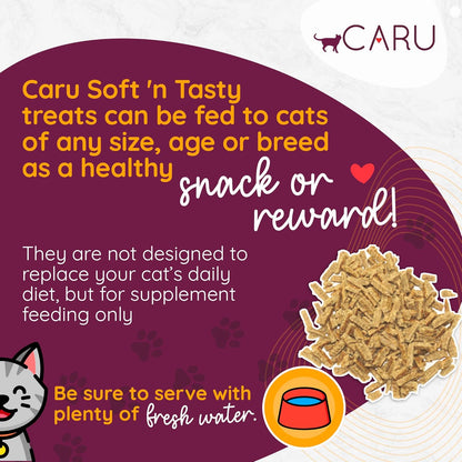 Caru - Soft ‘n Tasty Baked Bites - Salmon Bites Cat Treats - Flavorful All-Natural Treats - 3 oz. (Pack of 2)