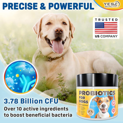Dog Probiotics - Prebiotic & Probiotic Chews for Dogs - May Support Immunity, Digestive & Gut Health, Diarrhea, Flatulence Relief & Upset Stomach - 120 Chicken Flavored Tablets