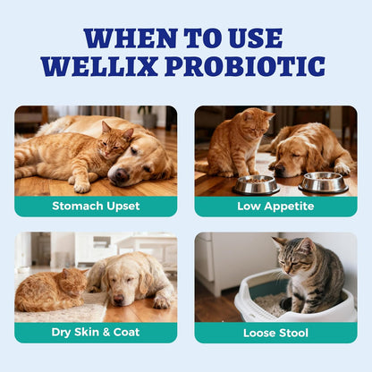 Wellix Liquid Probiotic for Cats & Dogs, 120ml 8-Strain Probiotics for Dog Digestive Health, Cat Digestive Support, Dry Skin Relief, Stool Formation for Cats & Dogs of All Ages