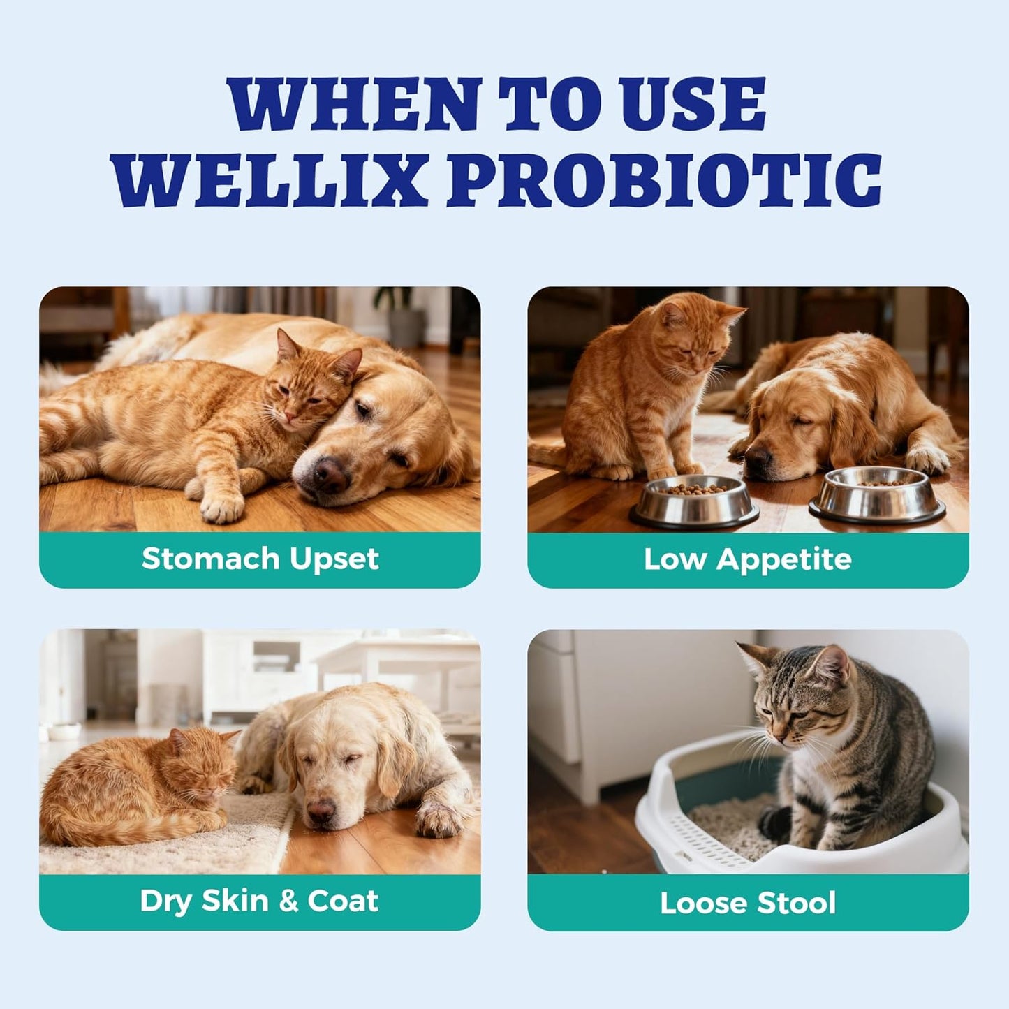 Wellix Liquid Probiotic for Cats & Dogs, 120ml 8-Strain Probiotics for Dog Digestive Health, Cat Digestive Support, Dry Skin Relief, Stool Formation for Cats & Dogs of All Ages