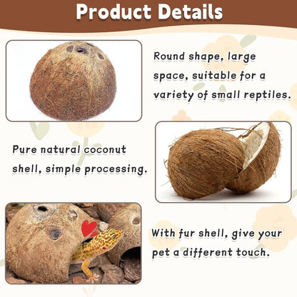 PINVNBY Natural Coconut Reptile Hideouts Lizard, Coco Hut Hermit Crab Hut Aquarium Fish Hide Cave for Small Reptile Crested Gecko Leopard Gecko Spider Snail Climber Toys (6 PCS Natural Surface)