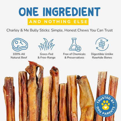 CHARLEY & ME All-Natural Bully Sticks for Dogs Made in The USA - Low-Odor, Rawhide-Free 6” Beef Chews for Aggressive Chewers & Dental Health (Pack of 12)