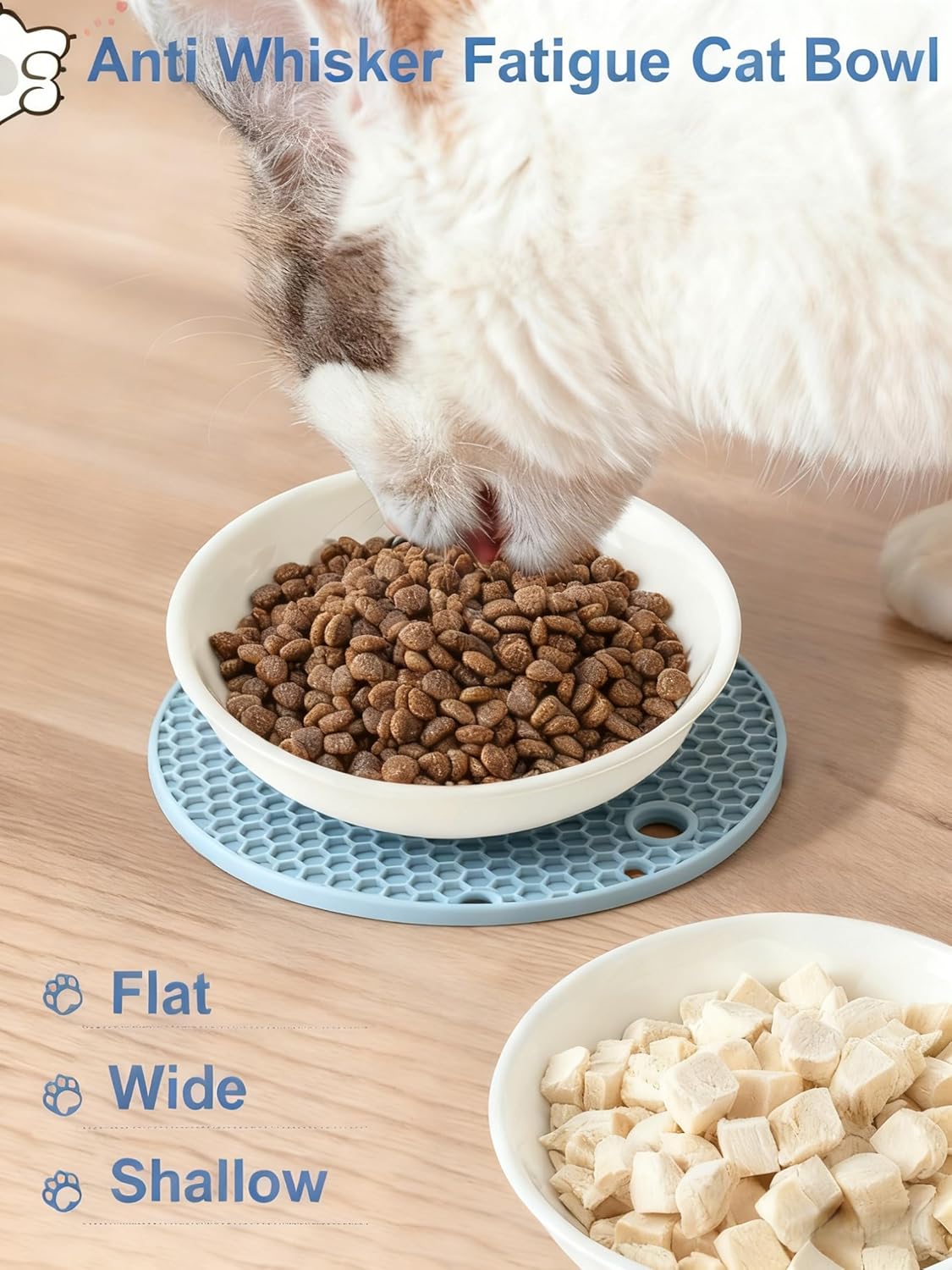 Ceramic Cat Food Bowl, Whisker Fatigue Cat Dishes for Food, Cute Ceramic Cats Bowl for Indoor Cats, 5.5" Flat Kitten Plates for Wet Food, Shallow Kitten Bowls Whisker Friendly