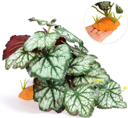 Reptile Plants for Terrarium, Amphibian Habitat Decor Plant, Bearded Dragon Tank Decorations, Artificial Plants for Gecko Lizard Chameleon Tortoise Ball Python Snake with Base - Fake Saxifrage