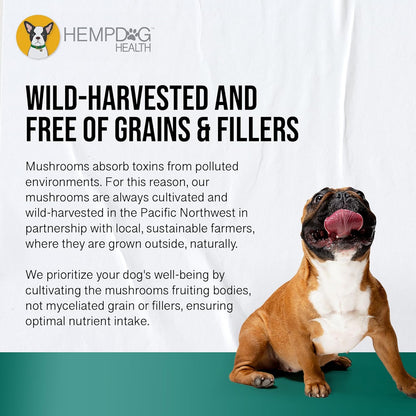 MycoDog Digest - Digestive Support Supplement for Dogs - Gut Health & Microbiome Balance - Probiotic Alternative with Functional Mushrooms and Adaptogens