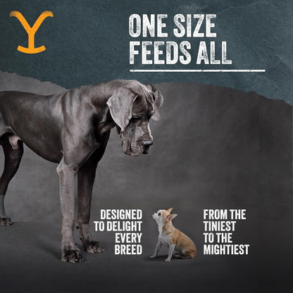 Yellowstone Limited Ingredient Dog Treats Beef Sticks - Healthy Dog Treats Made in USA - Air Dried Beef Collagen Dog Jerky Treats - Crunchy & Chewy Dog Treats - Beef Dog Treats Jerky - 8 oz