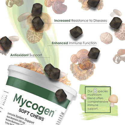 Mycogen for Dogs - Vitamins with 8 Types of Mushrooms - Support Immune System - 60 Soft Chews