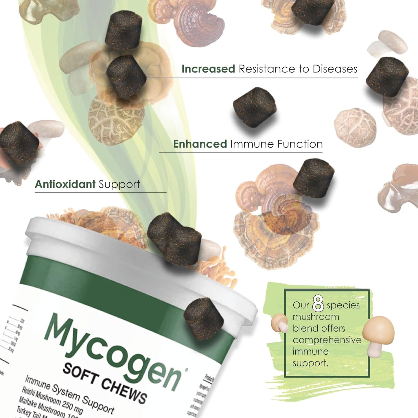 Mycogen for Dogs - Vitamins with 8 Types of Mushrooms - Support Immune System - 60 Soft Chews