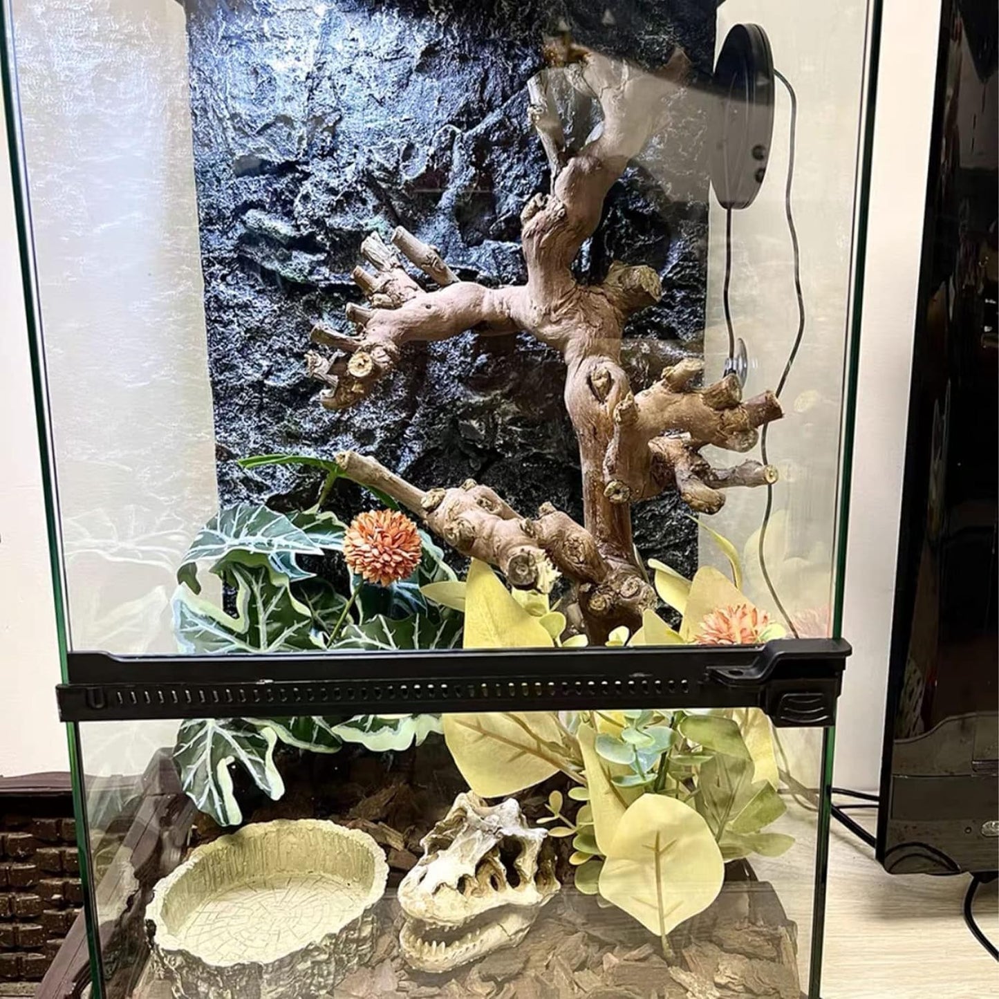 BNOSDM Reptile Grapevine Wood Decoration, Wooden Climb Tree Branch Decor, Grape Wood Branches for Leopard Gecko Lizard Frog Snake