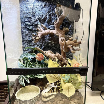 BNOSDM Reptile Grapevine Wood Decoration, Wooden Climb Tree Branch Decor, Grape Wood Branches for Leopard Gecko Lizard Frog Snake