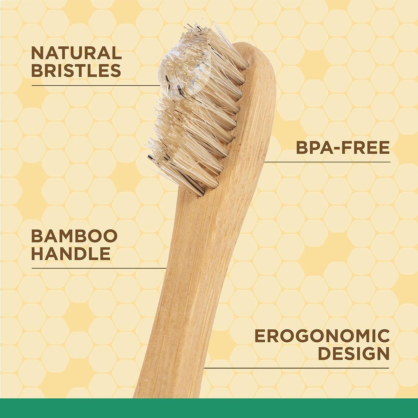 Burt's Bees for Pets Naturally Derived Oral Care Kit - Dog Dental Kit with Toothpaste & Bamboo Toothbrush - Dog Toothbrush and Toothpaste with Honeysuckle & Peppermint Oil, Fresh Mint Flavor (2.5 oz)