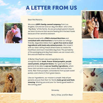 A Better Treat | Allergy Friendly Lamb Dry Dog Food | Raw You Can See | No Chicken, Lamb Only Animal Protein, No Meal Ingredients, Grain Free | Stomach Soothing Kibble + Freeze Dried Raw Dog Food