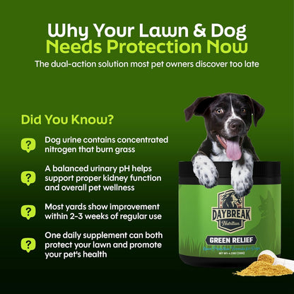 Green Relief Dog Urine Neutralizer for Lawn - Natural Grass Saver Powder Supplement with L-Methionine, Cranberry & Probiotics - Prevents Yellow Patches from Dog Pee - Made in USA