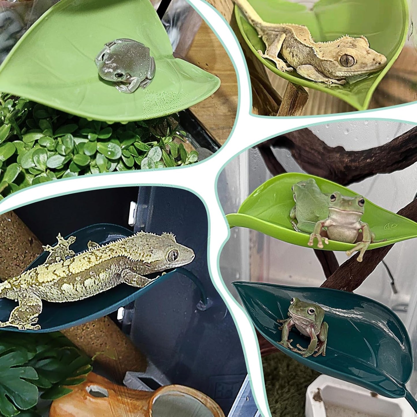 Crested Gecko Tank Accessories 3 PCS Wall Climbing Gecko Toy Reptile Leaf Habitat Decor for Tree Frogs