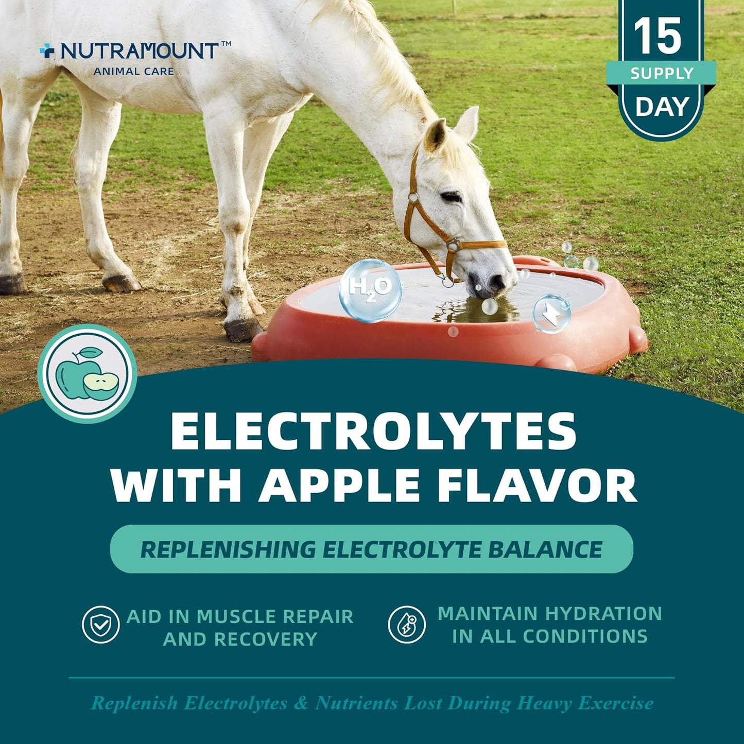 Equine Electrolytes Supplement with Apple Flavor, Replenish Lost Minerals & Support Hydration for Horses During Training, Hot Weather or Travel – 420g