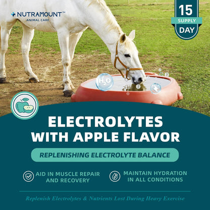 Equine Electrolytes Supplement with Apple Flavor, Replenish Lost Minerals & Support Hydration for Horses During Training, Hot Weather or Travel – 420g
