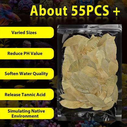 55+ Dried Longan Leaves (4-6 Inch) - Natural Terrarium Leaf Litter for Bioactive Setup, Isopods, Snakes, Frogs, Spiders, Betta Fish- Moisture Retention & Hiding Cover