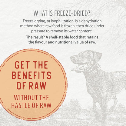 Caledon Farms Freeze-Dried Coated Chicken Recipe Premium Dry Dog Food 3.9lb