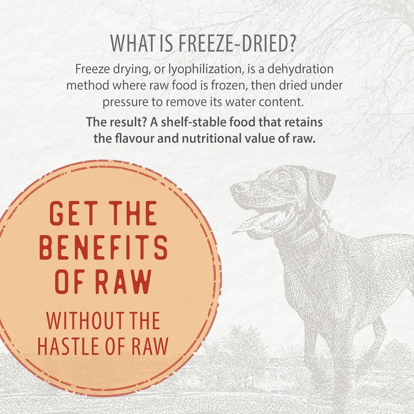 Caledon Farms Freeze-Dried Coated Chicken Recipe Premium Dry Dog Food 3.9lb