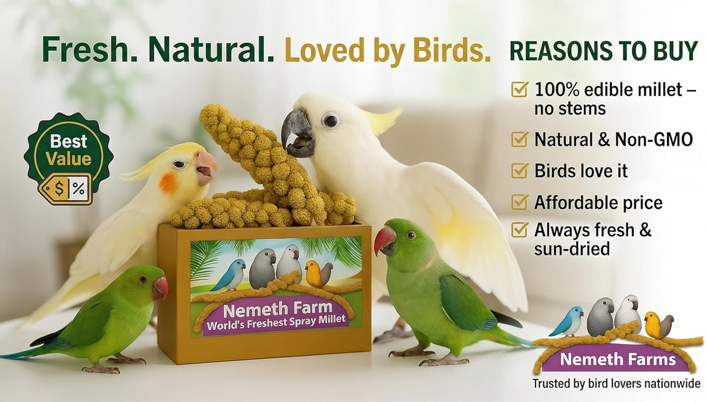 Nemeth Farms Premium Non-GMO Spray Millet Treat | Hand-Harvested Bird Snack | 100% Edible Tops | Sun-Dried Supplement for Parakeets, Cockatiels, Finches, Lovebirds, Canaries