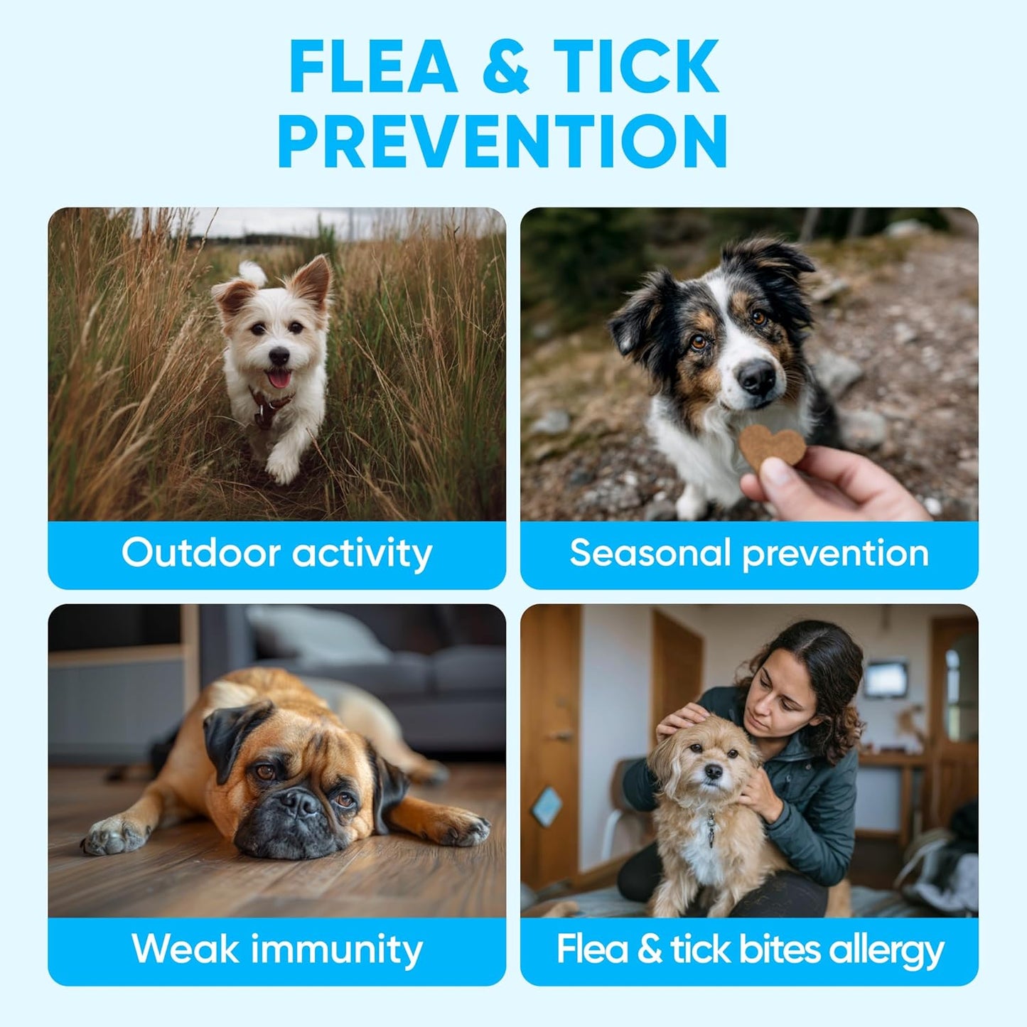 Chewable Flea and Tick Prevention for Dogs - 120 Soft Chews Made in USA - Oral Flea and Tick Control Pills for Small, Medium, Large Dogs and Puppies - Skin and Coat Supplement Treats for All Breeds