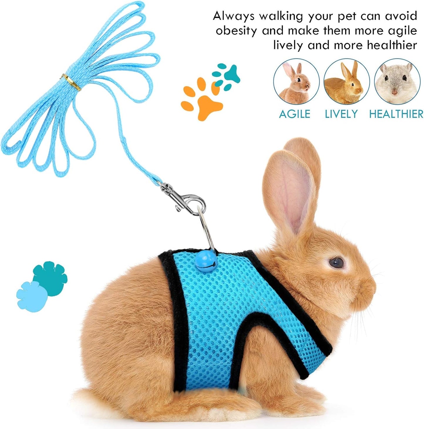 SATINIOR 2 Pieces Guinea Pig Clothes Baby Ferret Rats Hamster Soft Mesh Harness Leash Vest Set with Bell for Guinea Pigs, Hamster, Ferret, Rabbit, Chinchilla and Similar Small Animals (Blue, Black,S)