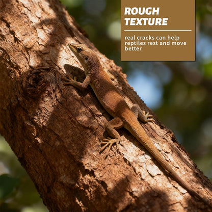 2pcs Cork Bark 12x8 inch Natural Cork Reptile Background, Terrarium Climbing Mat Wall Decor for Bearded Dragons, Lizards, Geckos, Turtles, Snakes, Frogs, Spiders - Habitat Accessories