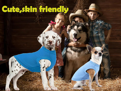 Dog Blank Blue Shirt,Boy Girl Dogs Extra Large Cotton Tee Shirts,Plain Labrador T-Shirt,XXL Blue Royal