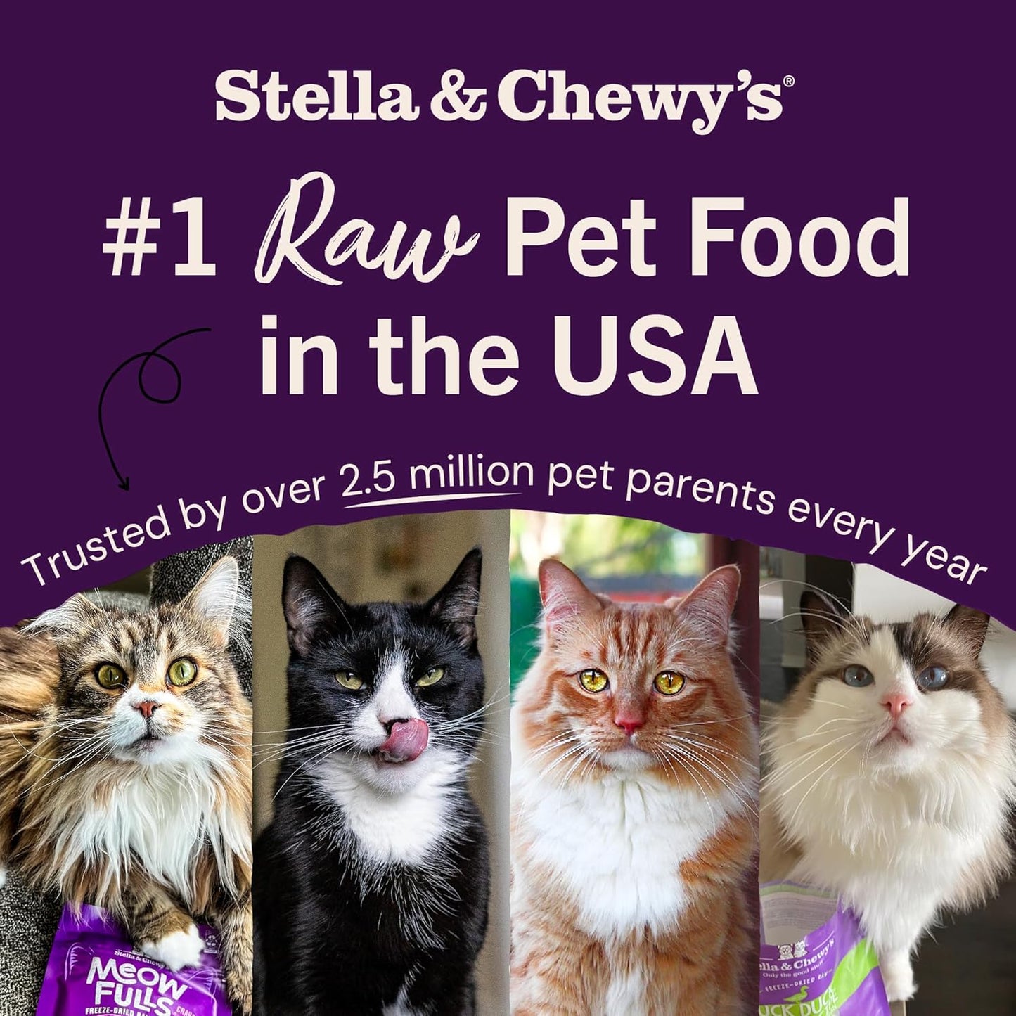 Stella & Chewy's Freeze-Dried Raw Cat Dinner Morsels - Premium Chicken Recipe with 98% Cage-Free Meat & Organs - Natural Grain-Free Cat & Kitten Food - Made in USA - 18 oz