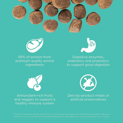 Go! Solutions Carnivore, Grain-Free, Protein Rich Dry Dog Food, Chicken, Turkey and Duck Adult Recipe, 22 lb Bag