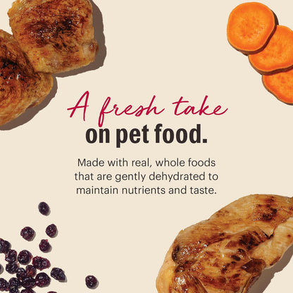 The Honest Kitchen Human Grade Dehydrated Grain Free Chicken Cat Food, 2 lb Box