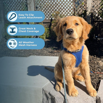 Best Pet Supplies Voyager Step-in Air Harness - All Weather Mesh, Reflective, No Pull Harness for Dogs, Cats - Secure with Hook & Loop Fastener, Buckle, Double D-Rings - Royal Blue, XS