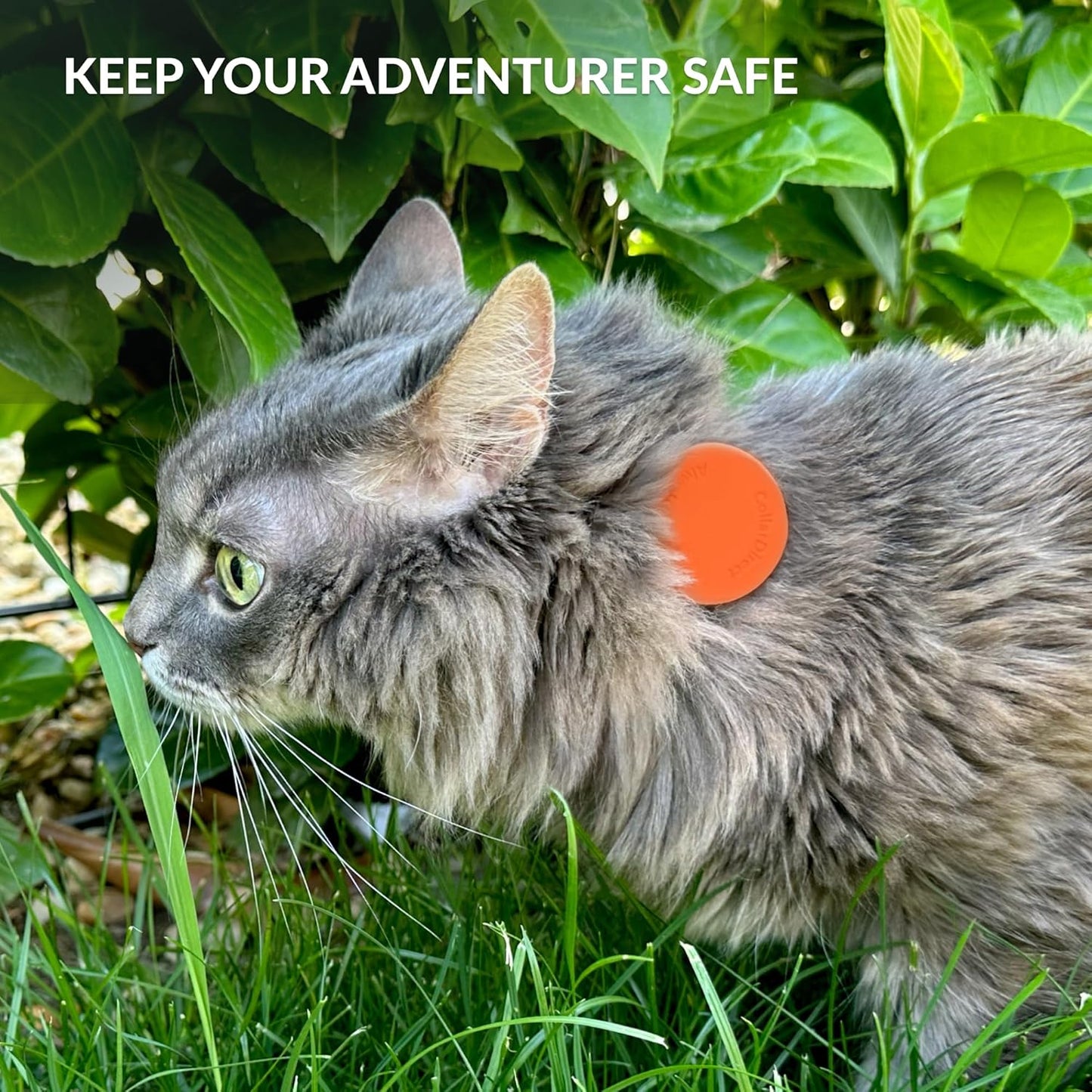 CollarDirect Airtag Cat Collar - Breakaway Nylon Collar with Airtag Holder and ID Tag for Kitten to Big Cat (Orange, S)