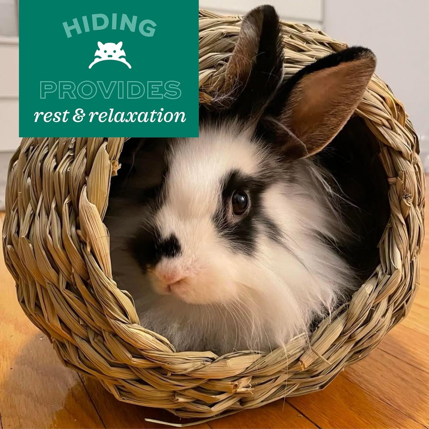 Oxbow Timothy Hay Tunnel, Guinea Pig Hideout, Rabbit & Bunny Tunnel, Edible & Hand-Woven Guinea Pig House, No Wires or String, Small Pet Accessories, for Rabbits, Chinchillas & Rats