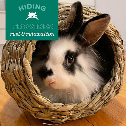 Oxbow Timothy Hay Tunnel, Guinea Pig Hideout, Rabbit & Bunny Tunnel, Edible & Hand-Woven Guinea Pig House, No Wires or String, Small Pet Accessories, for Rabbits, Chinchillas & Rats